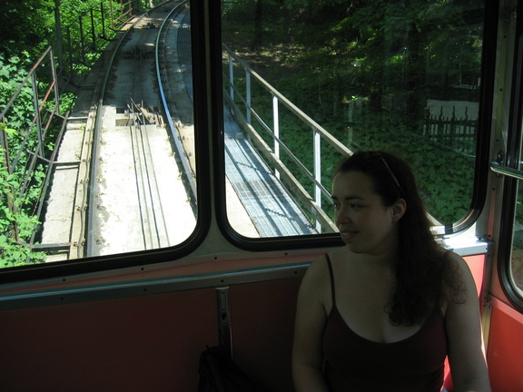 IMG 0010