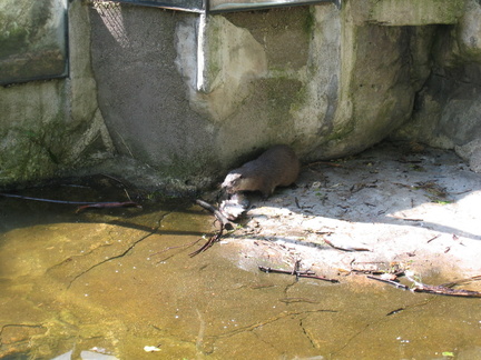 IMG 0016