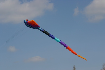 IMG 0001