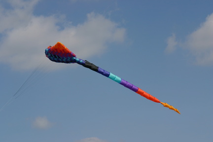 IMG 0002