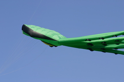 IMG 0005