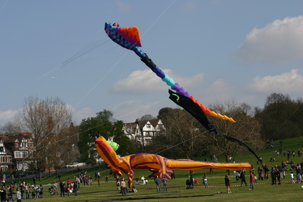 IMG 0007