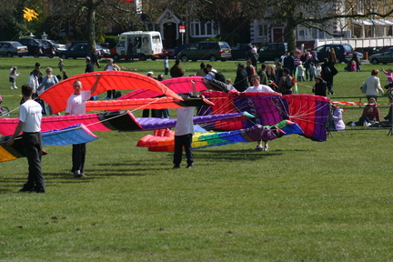 IMG 0013